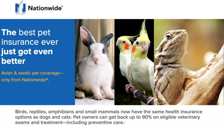 Nationwide Unveils New Avian And Exotic Pet Insurance Plan