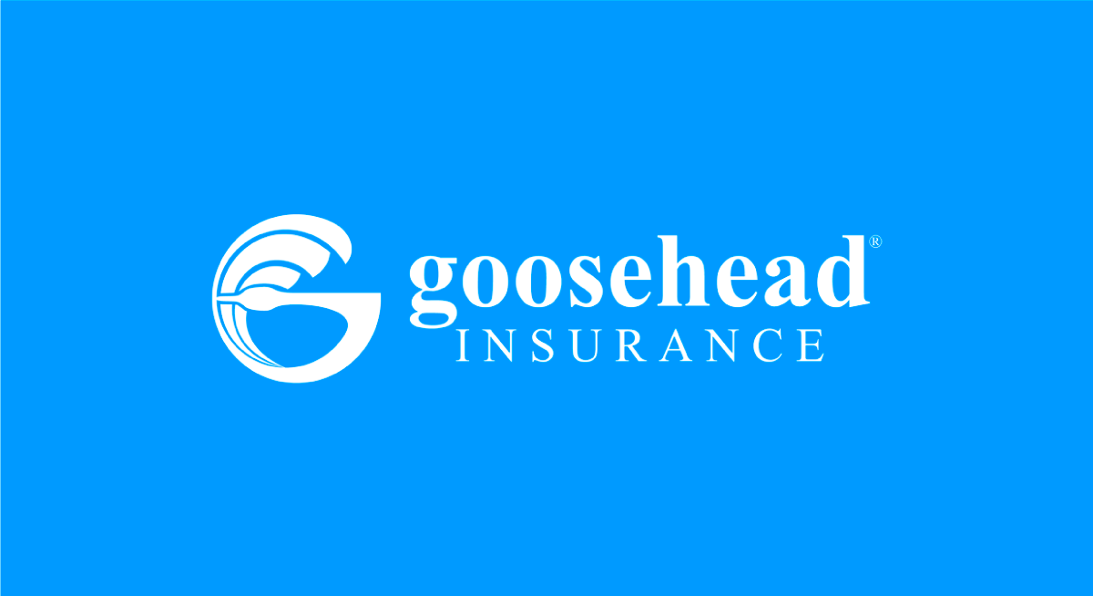 Goosehead makes progress with QTI efforts